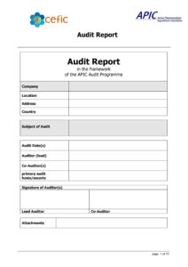 documentation-audit-report-template