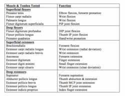 hand-exam-documentation-template-emergency-medicine