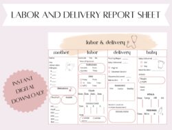 labor-and-delivery-nurse-documentation-template