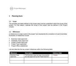 project-plan-documentation-template