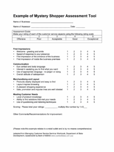 secret-shopping-documentation-template