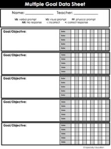 special-needs-template-documentation-sheet