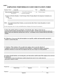 work-performance-documentation-template