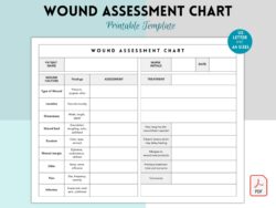 wound-care-management-and-documentation-template