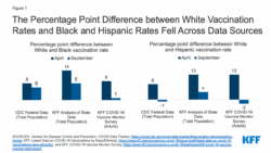Vaccine Immunization Vs Race Ethnicity Survey Template vaccine-immunization-vs-race-ethnicity-survey-template