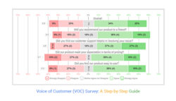 voice-of-the-customer-survey-template