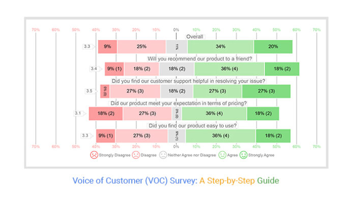 Voice of Customer Survey Template