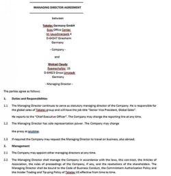 Interim Executive Director Contract Template interim-executive-director-contract-template