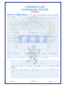 common-law-copyright-notice-template